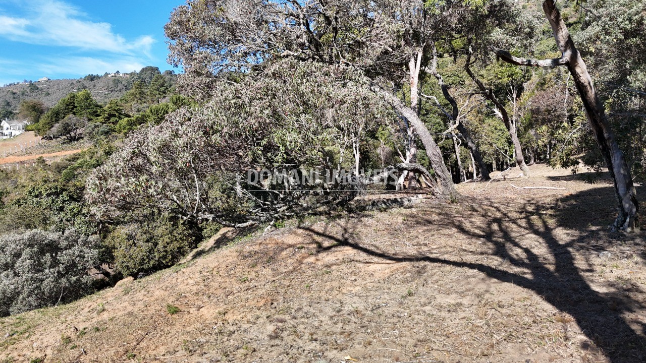 Terreno, 7210 m² - Foto 7