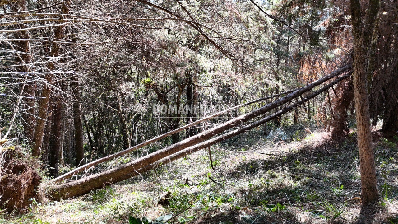 Terreno, 1080 m² - Foto 30