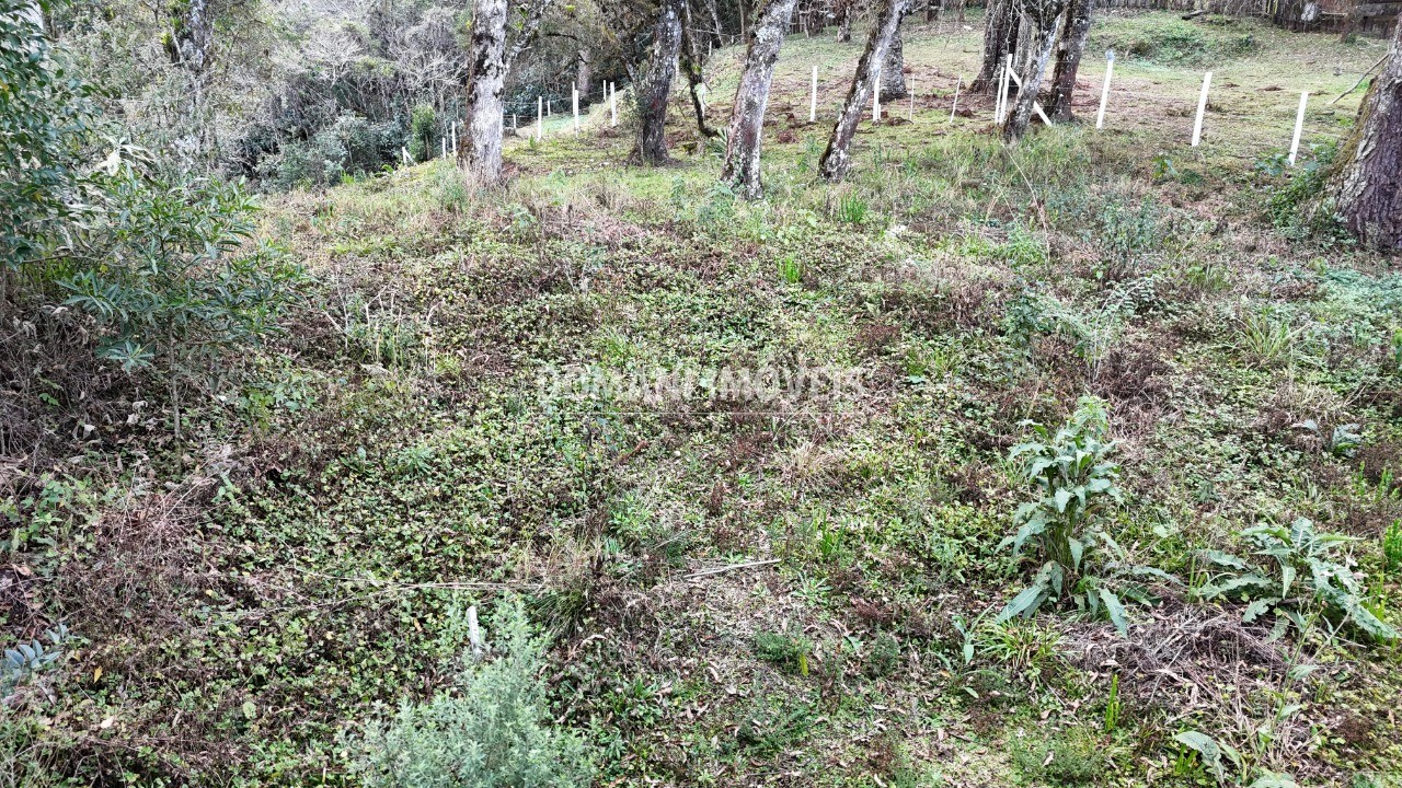 Terreno, 1030 m² - Foto 3