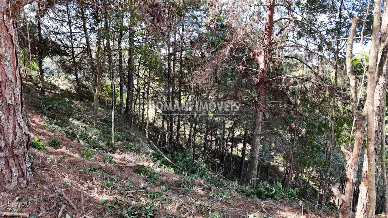 Terreno, 1182 m² - Foto 28