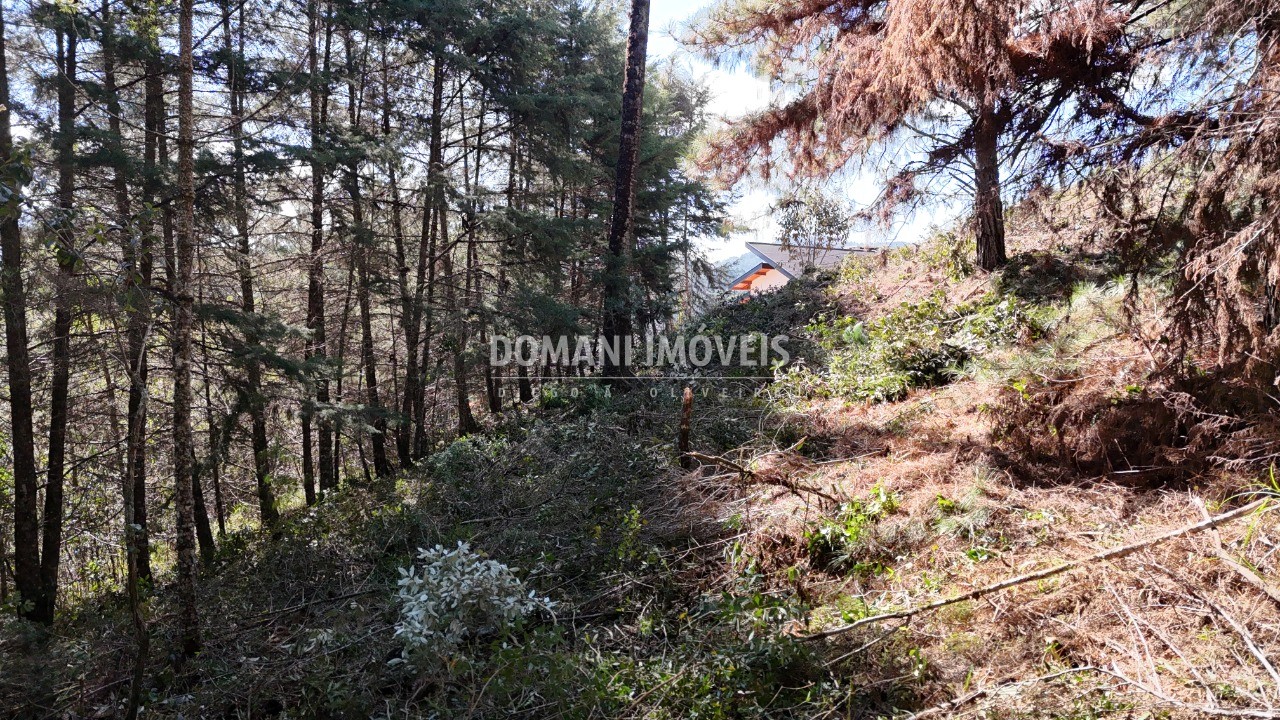 Terreno, 1080 m² - Foto 23