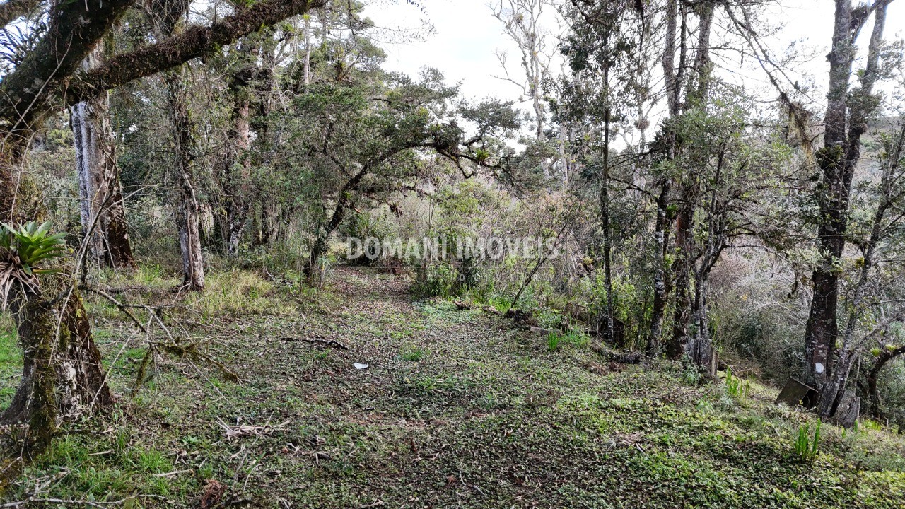 Terreno, 1030 m² - Foto 1