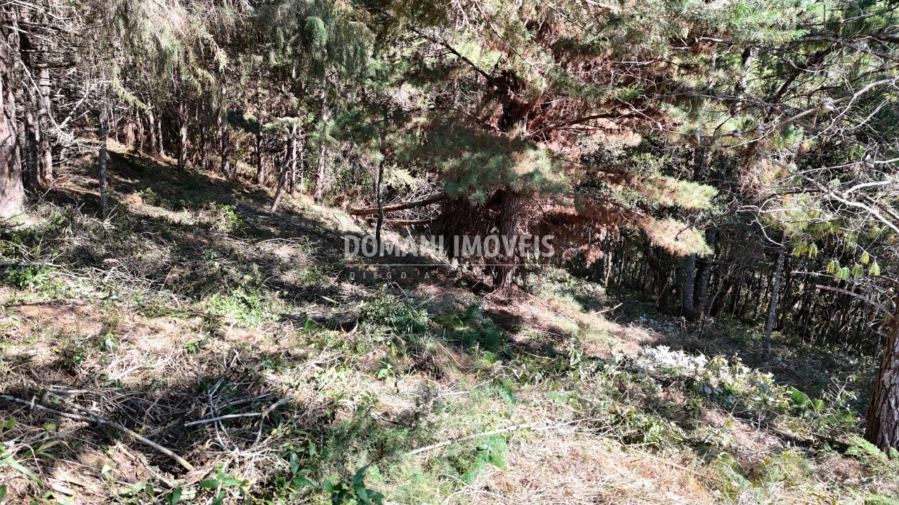 Terreno, 1080 m² - Foto 18