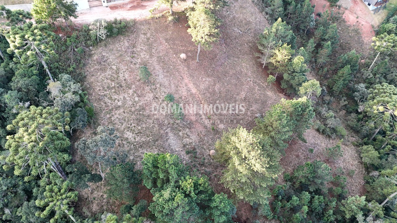 Terreno, 5535 m² - Foto 13