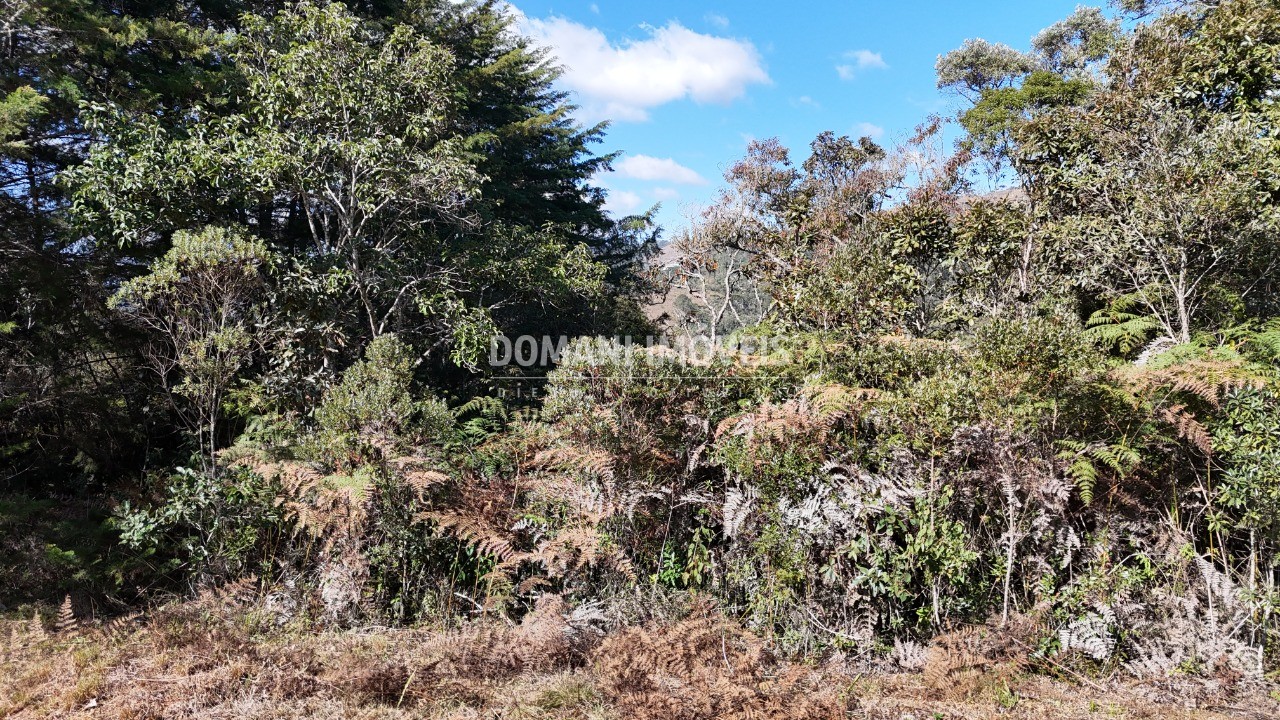 Terreno, 1105 m² - Foto 1