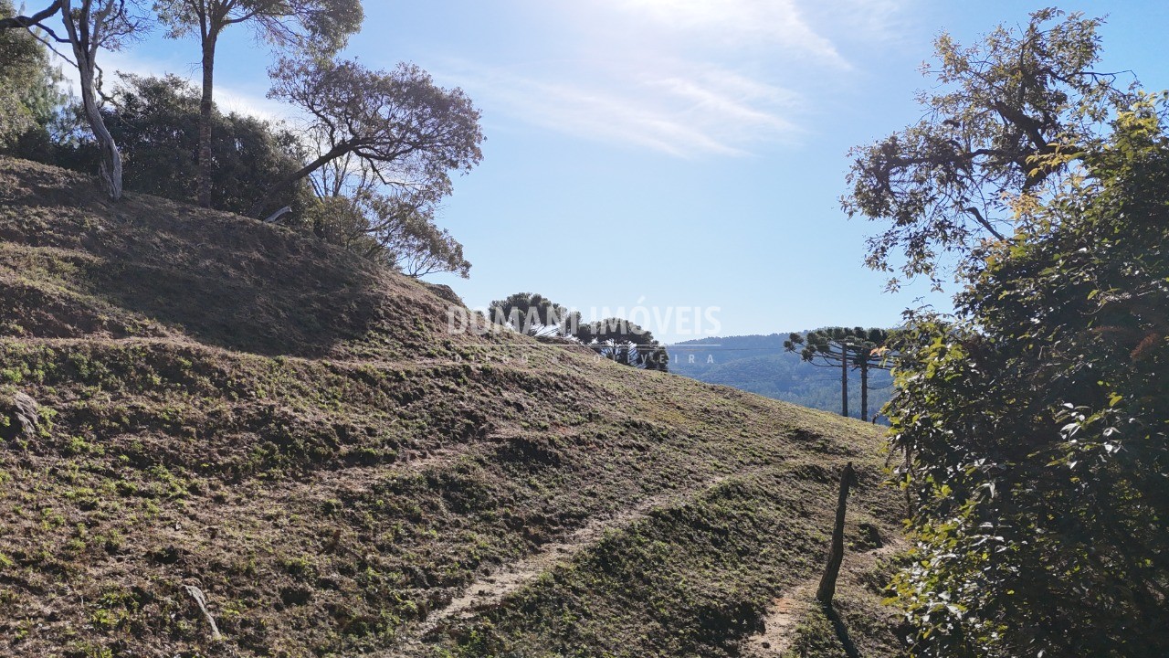 Terreno, 7210 m² - Foto 15