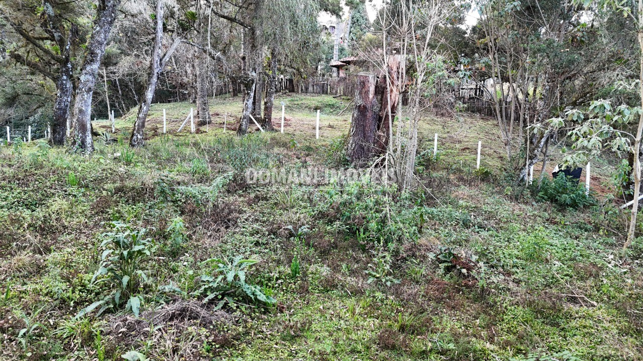 Terreno, 1030 m² - Foto 13