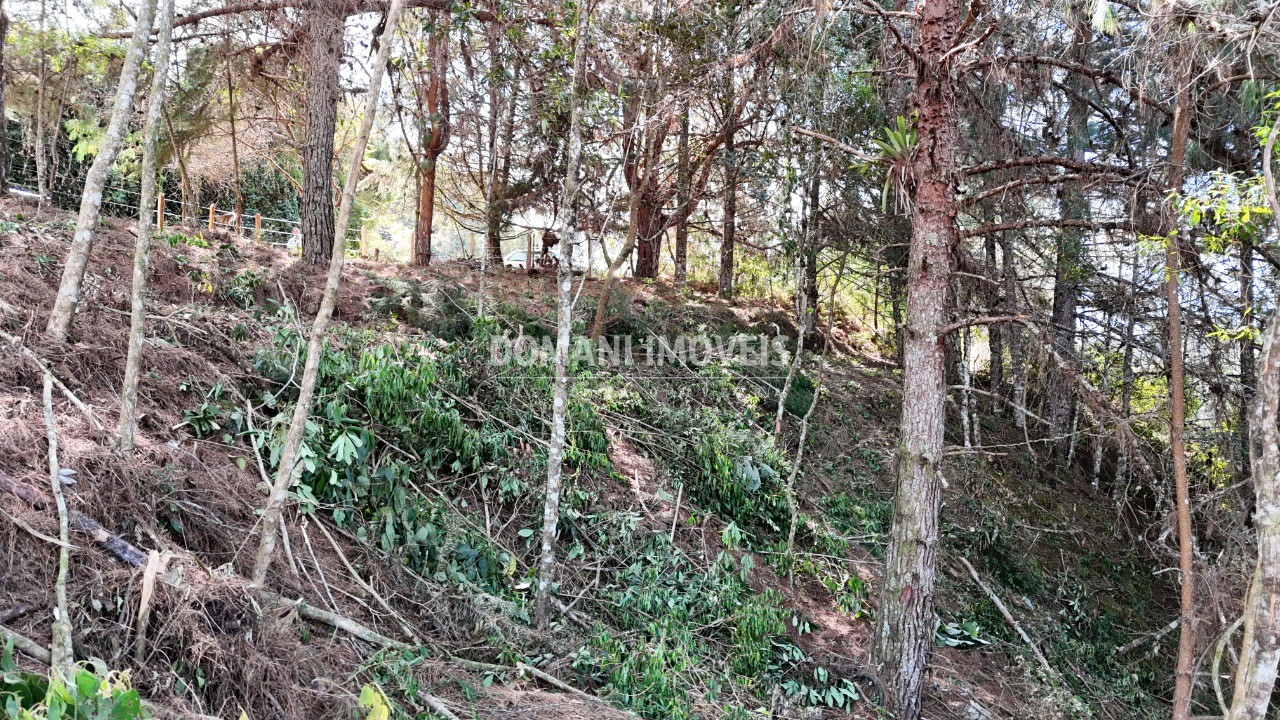 Terreno, 1182 m² - Foto 18