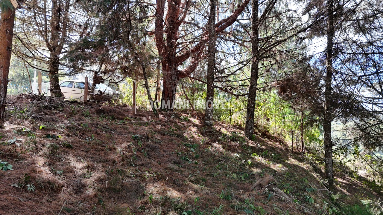 Terreno, 1182 m² - Foto 14