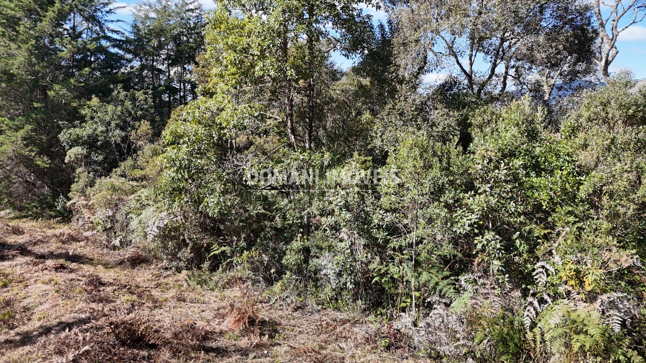 Terreno, 1105 m² - Foto 4