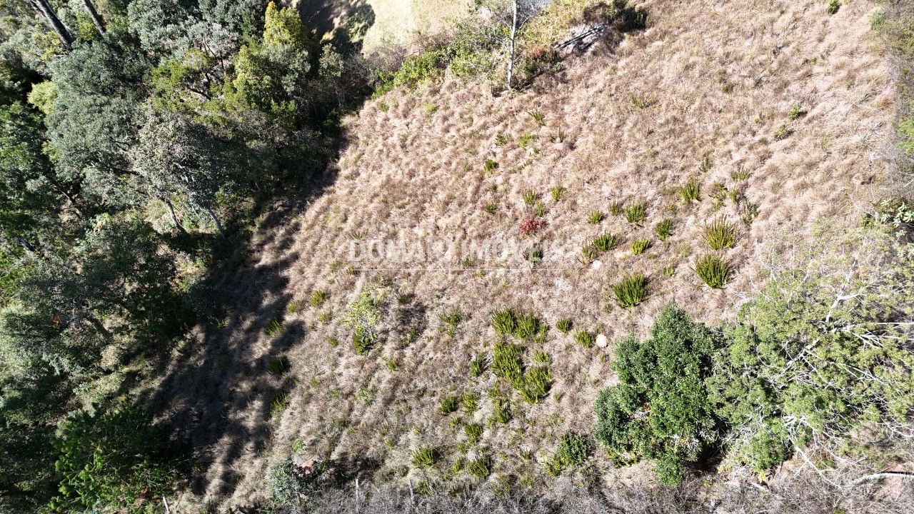 Terreno, 1385 m² - Foto 6