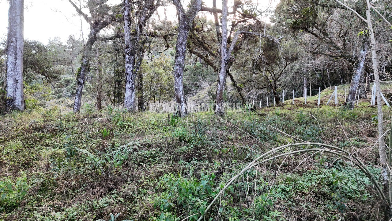 Terreno, 1030 m² - Foto 15