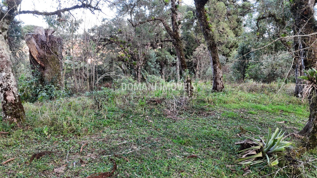 Terreno, 1030 m² - Foto 8
