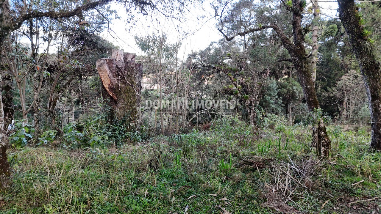 Terreno, 1030 m² - Foto 6
