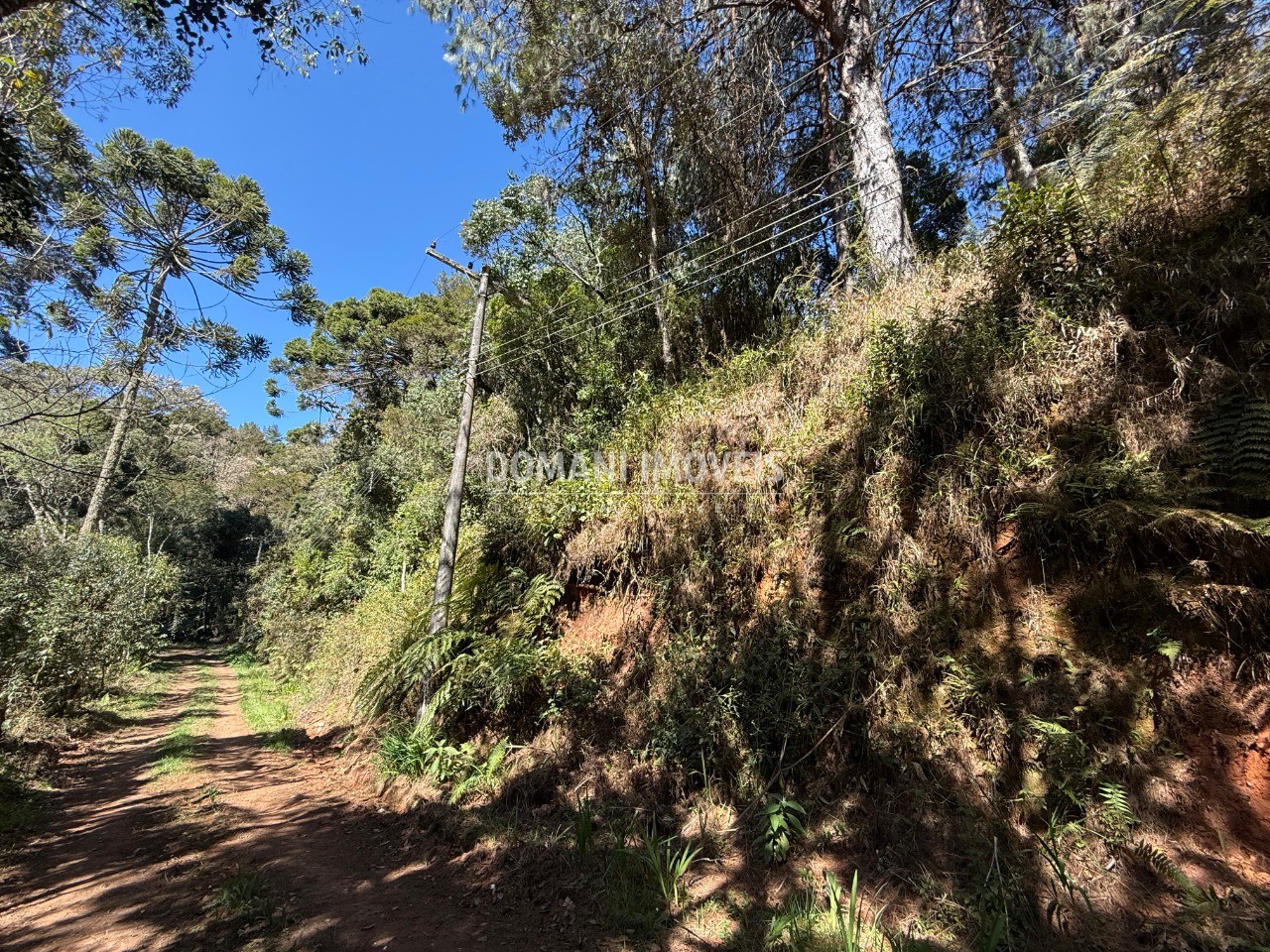 Terreno, 1212 m² - Foto 8