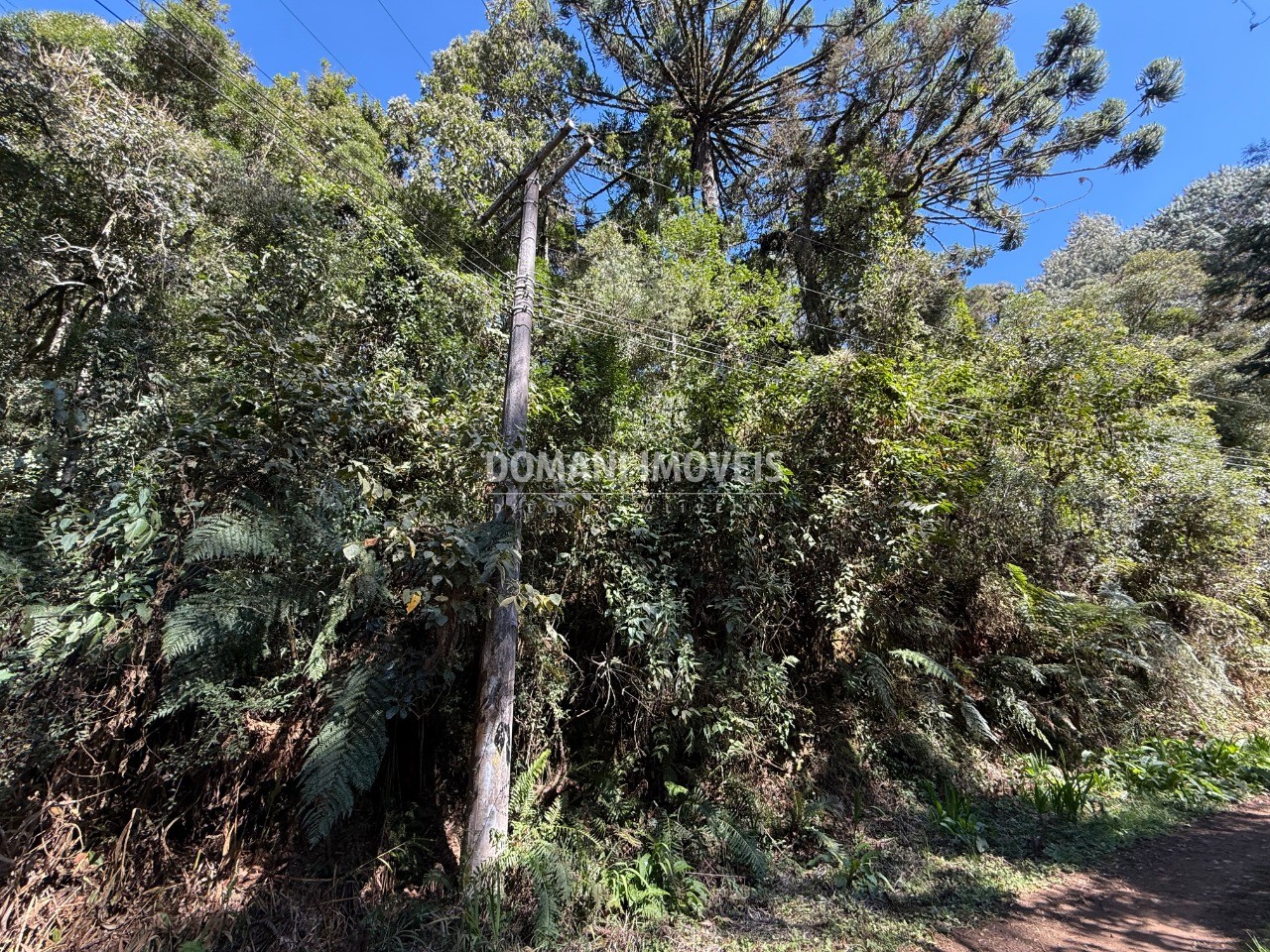 Terreno, 1212 m² - Foto 9
