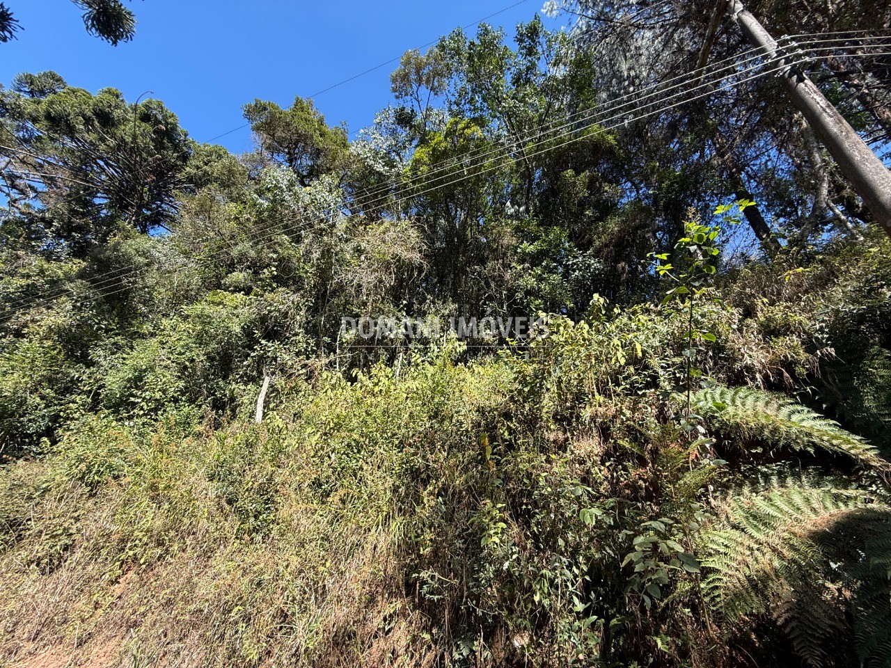 Terreno, 1212 m² - Foto 10