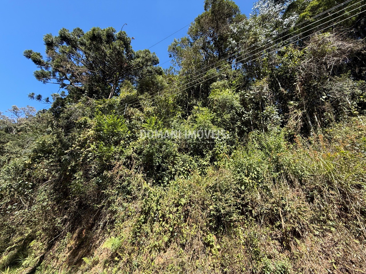 Terreno, 1212 m² - Foto 6