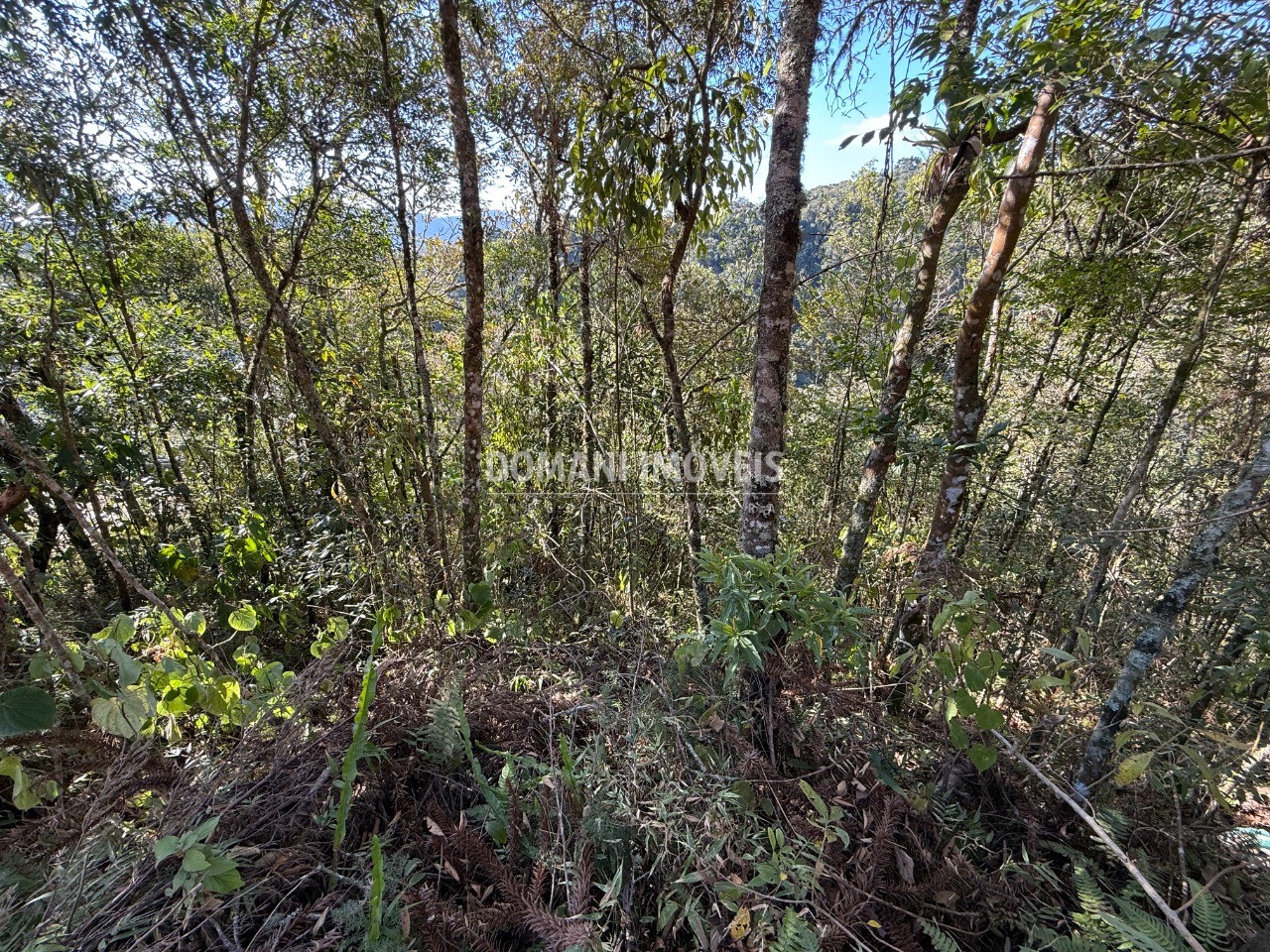 Terreno, 1275 m² - Foto 9