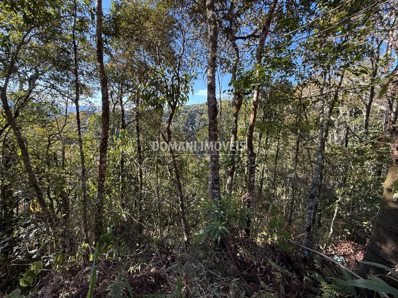 Terreno, 1275 m² - Foto 6
