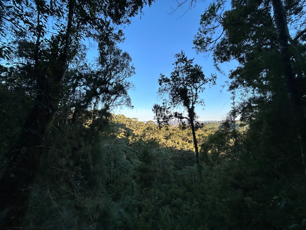 Terreno, 1535 m² - Foto 18