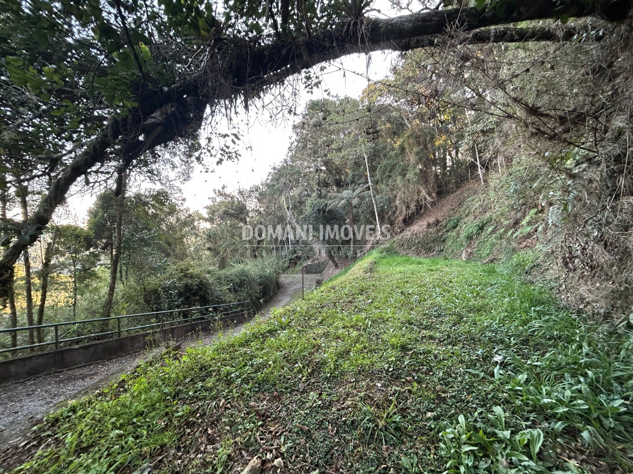 Terreno, 1535 m² - Foto 11