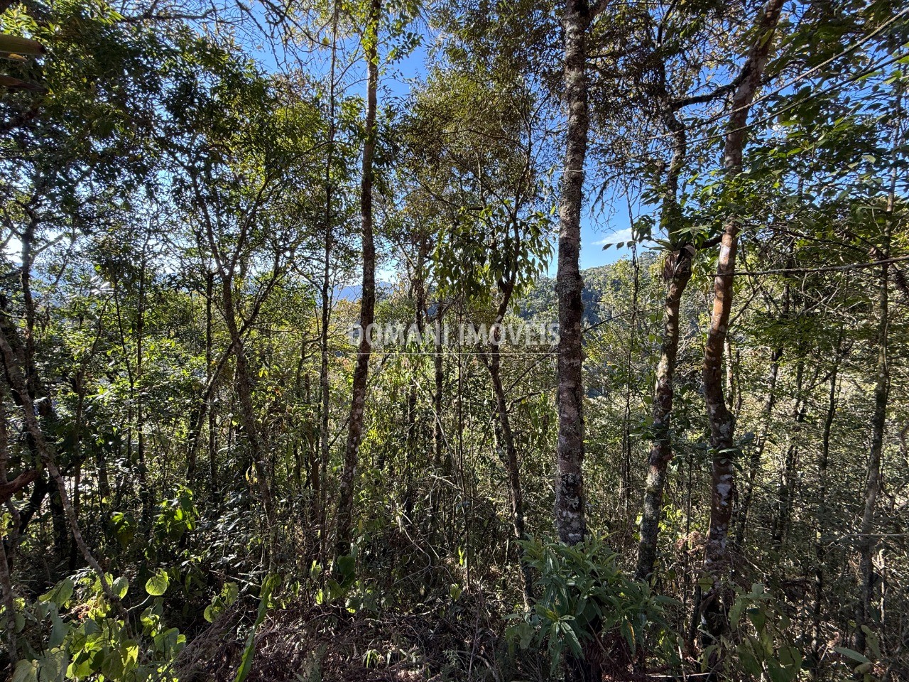 Terreno, 1275 m² - Foto 11