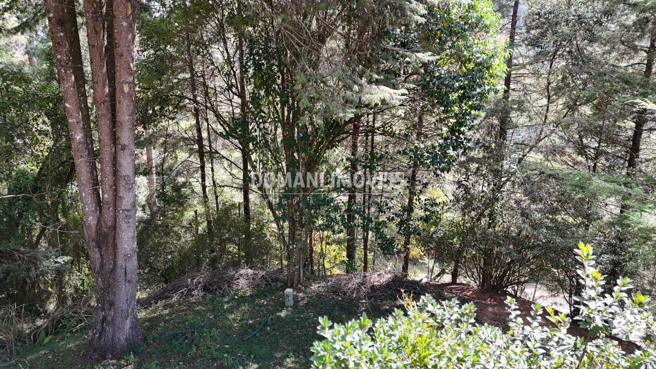 Casa, 4 quartos - Foto 47