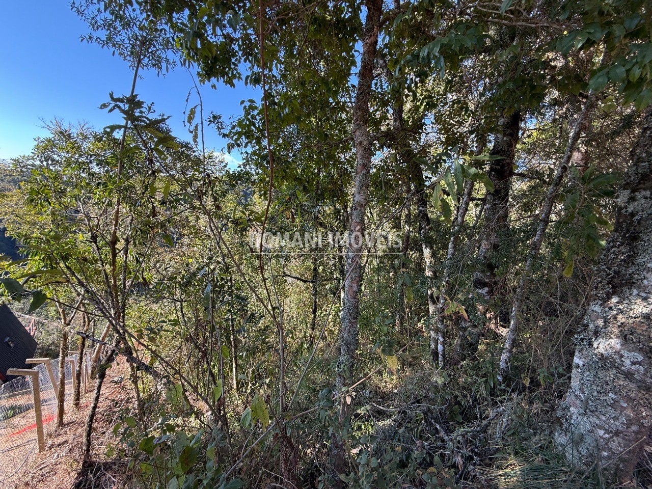 Terreno, 1275 m² - Foto 8