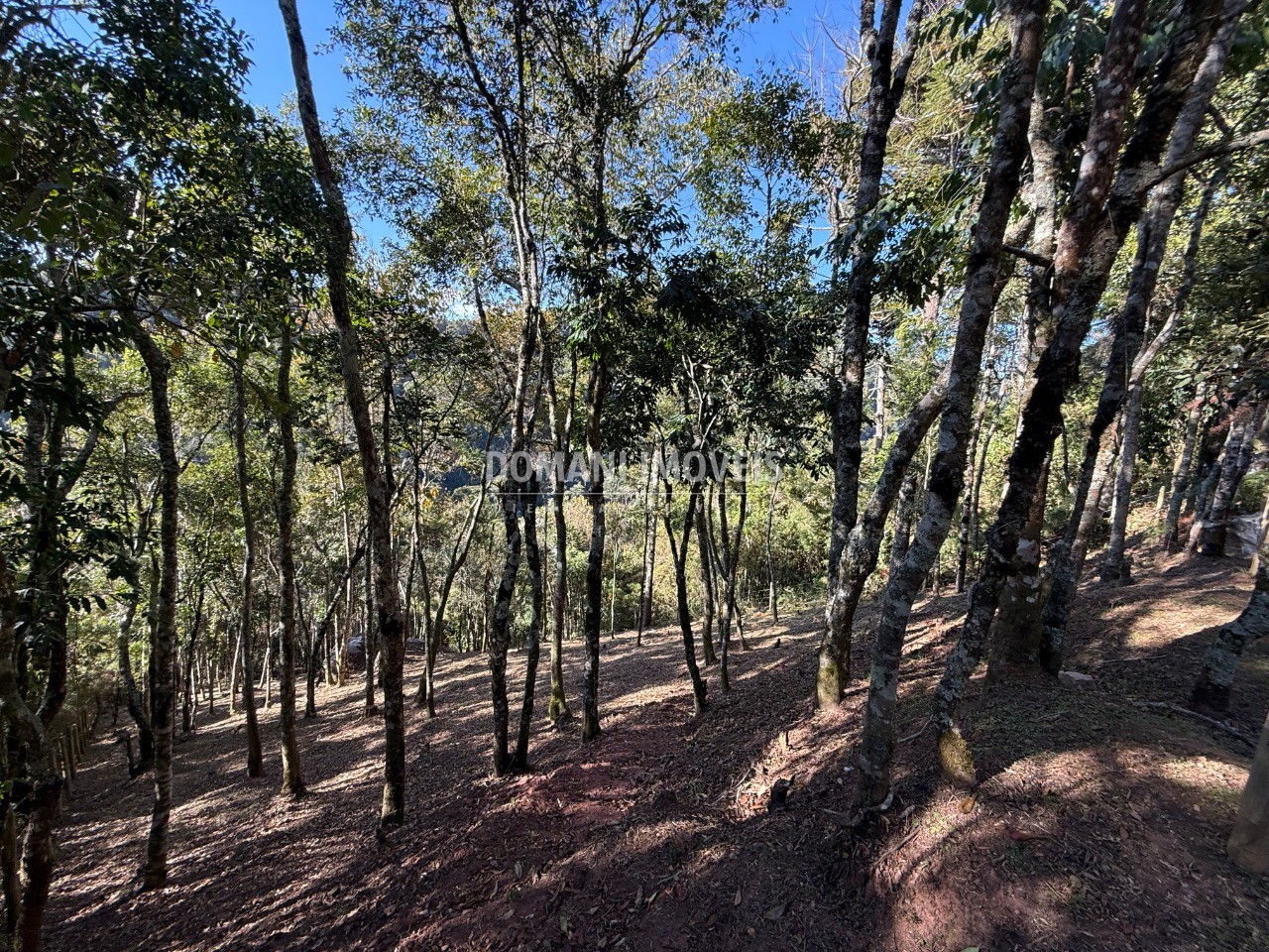 Terreno, 1210 m² - Foto 3