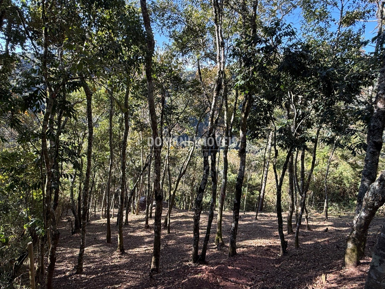 Terreno, 1210 m² - Foto 14