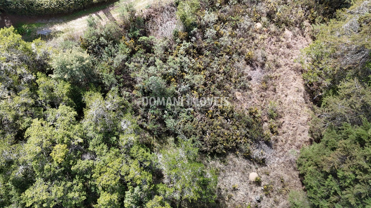 Terreno, 1010 m² - Foto 8
