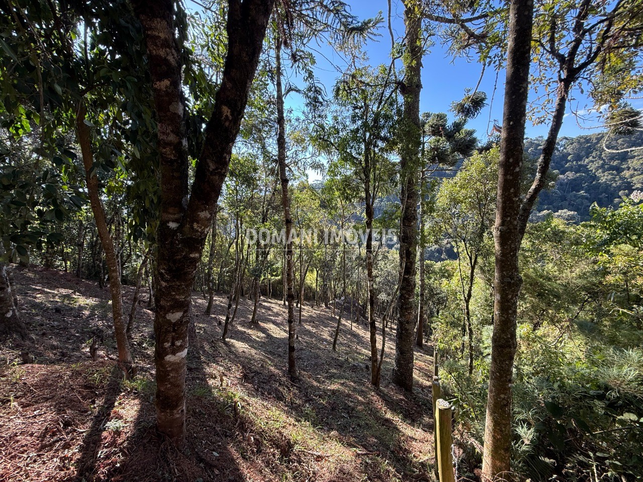 Terreno, 1210 m² - Foto 15