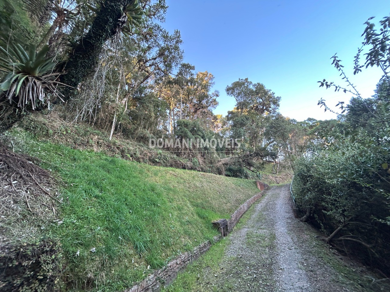Terreno, 1535 m² - Foto 8
