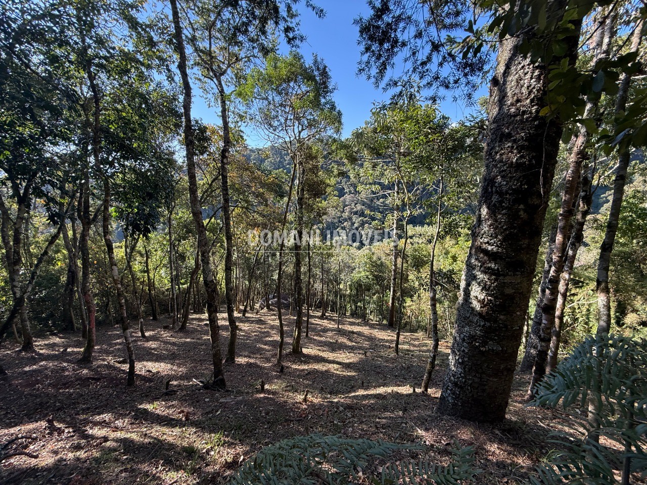 Terreno, 1210 m² - Foto 8