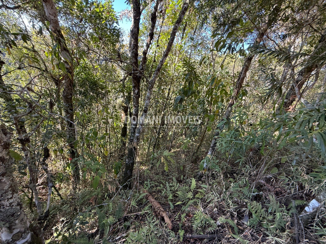 Terreno, 1275 m² - Foto 10