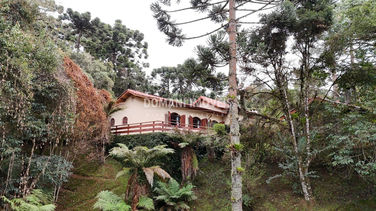 Casa, 3 quartos - Foto 31