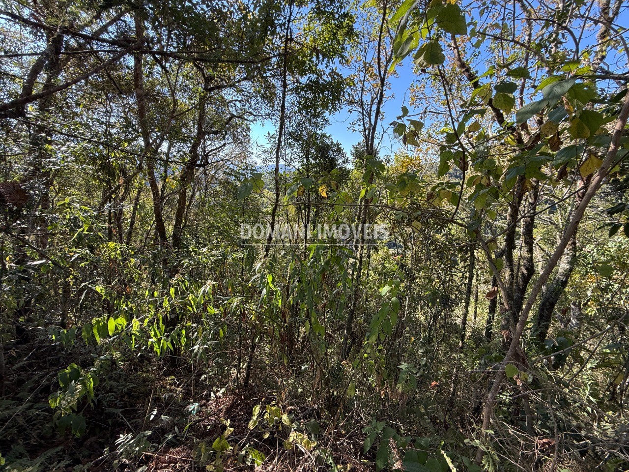 Terreno, 1275 m² - Foto 7