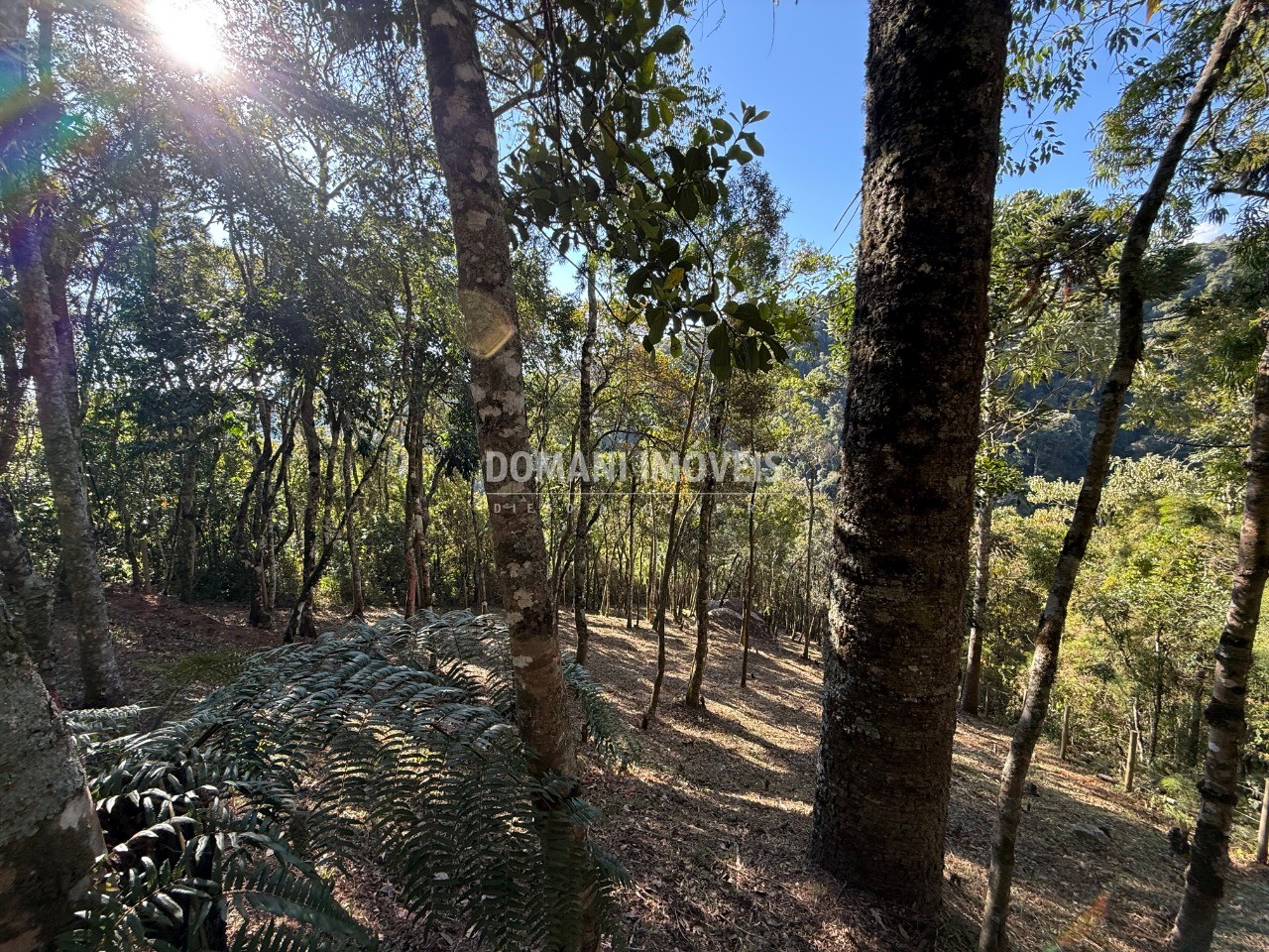 Terreno, 1210 m² - Foto 6
