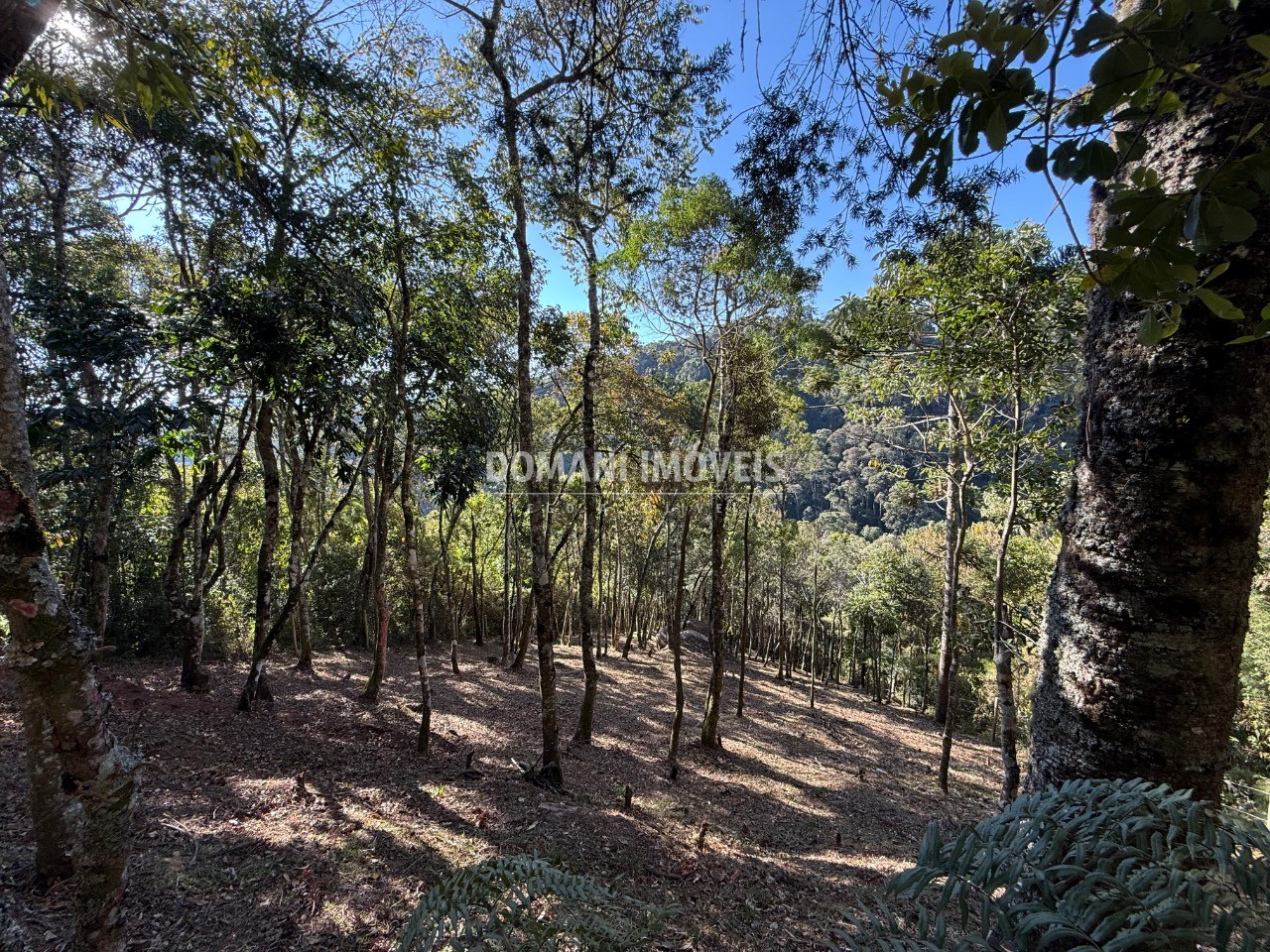 Terreno, 1210 m² - Foto 16