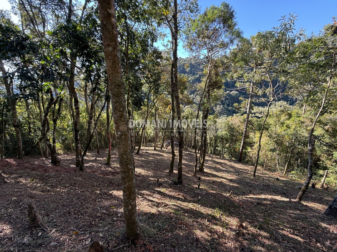 Terreno, 1210 m² - Foto 9