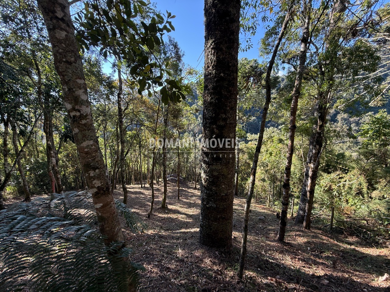 Terreno, 1210 m² - Foto 7