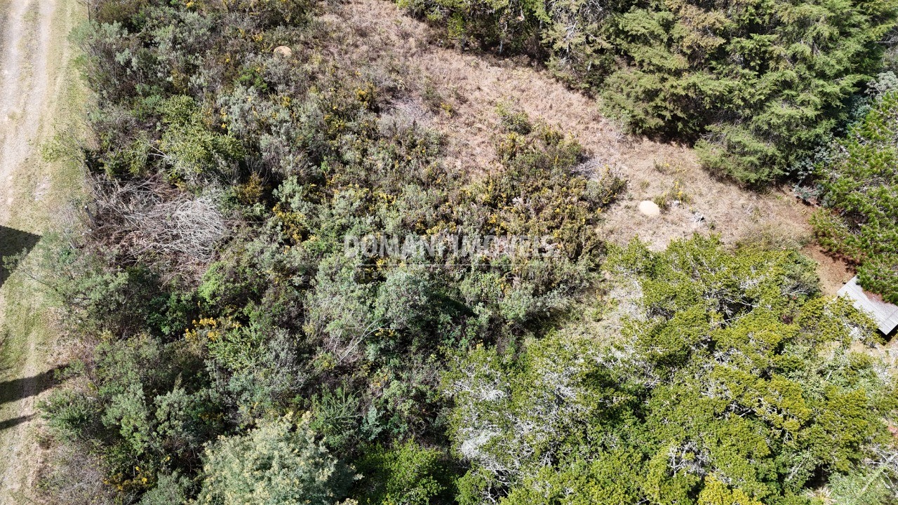 Terreno, 1010 m² - Foto 11
