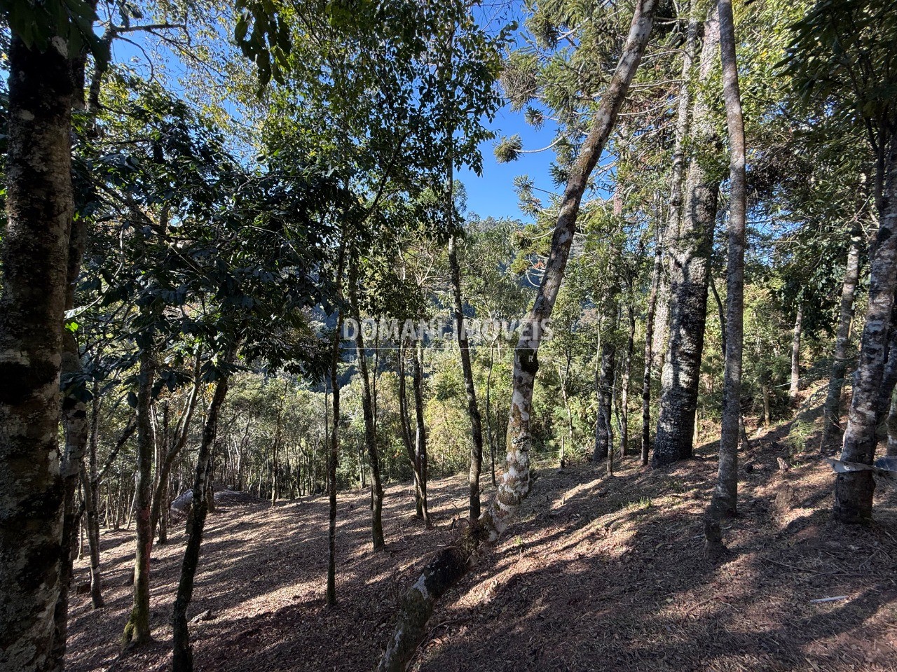 Terreno, 1210 m² - Foto 11