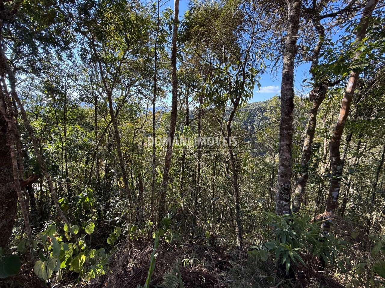 Terreno, 1275 m² - Foto 3