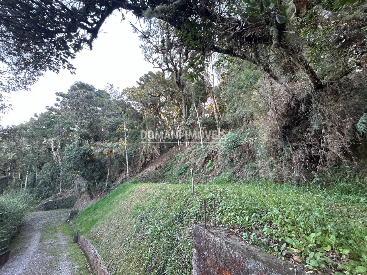 Terreno, 1535 m² - Foto 7