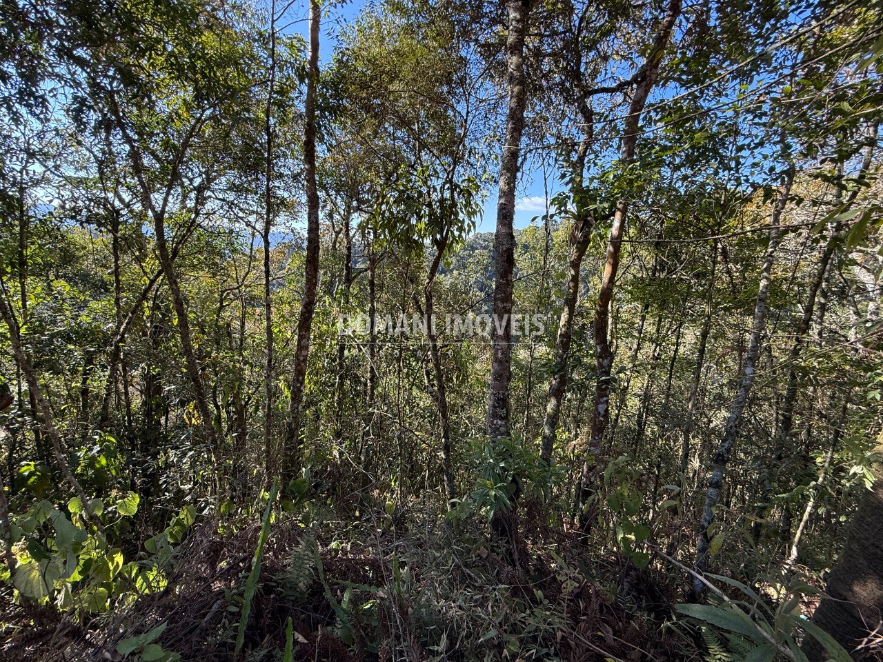 Terreno, 1275 m² - Foto 2