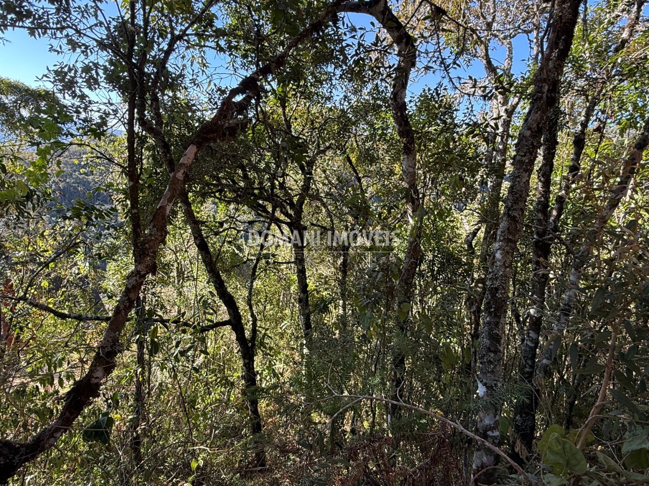 Terreno, 1275 m² - Foto 5