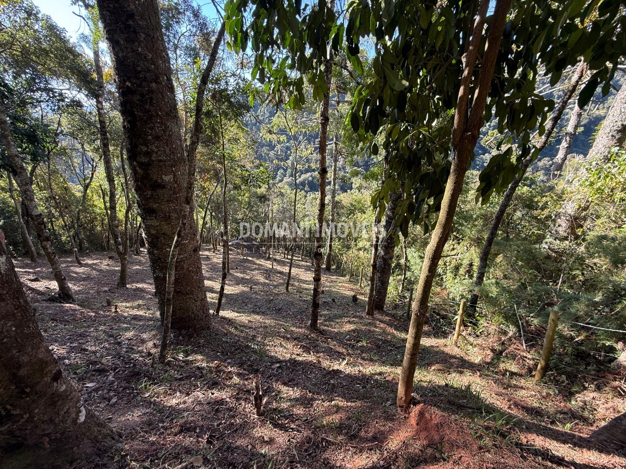 Terreno, 1210 m² - Foto 5