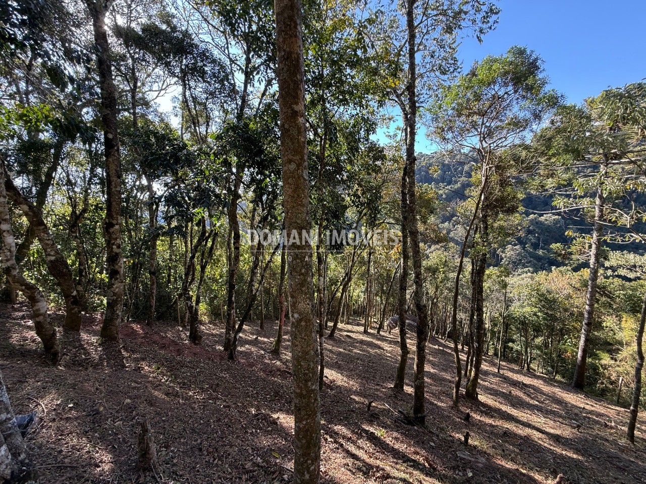 Terreno, 1210 m² - Foto 10